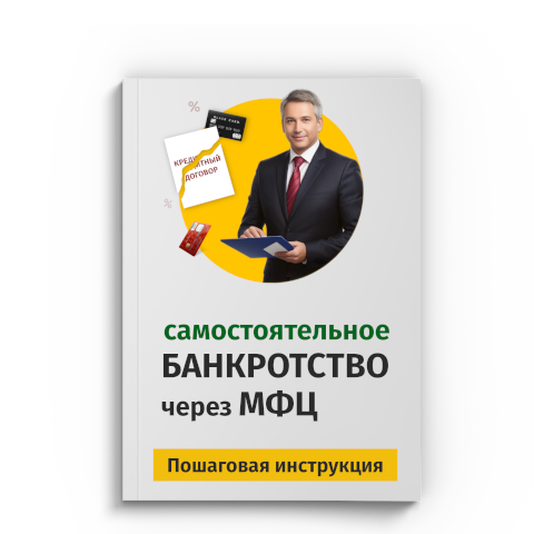 Пошаговая процедура банкротства через МФЦ в Ульяновске